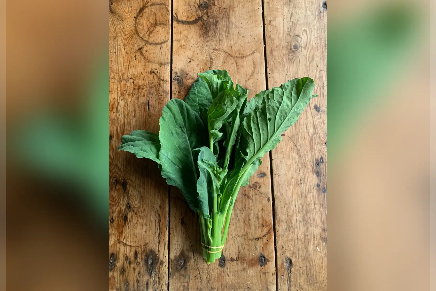 kailan - brocolis chinois