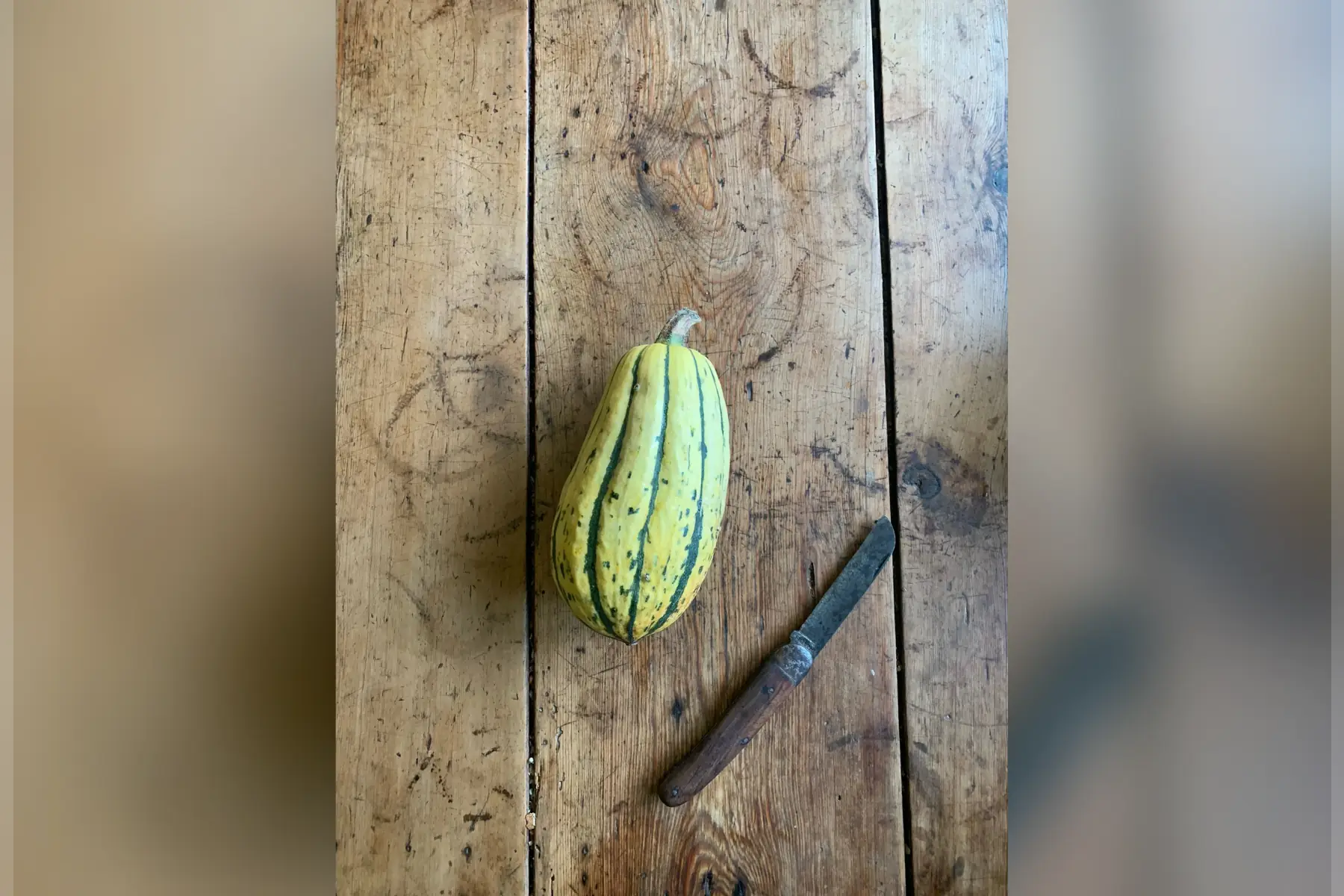 Courge Delicata