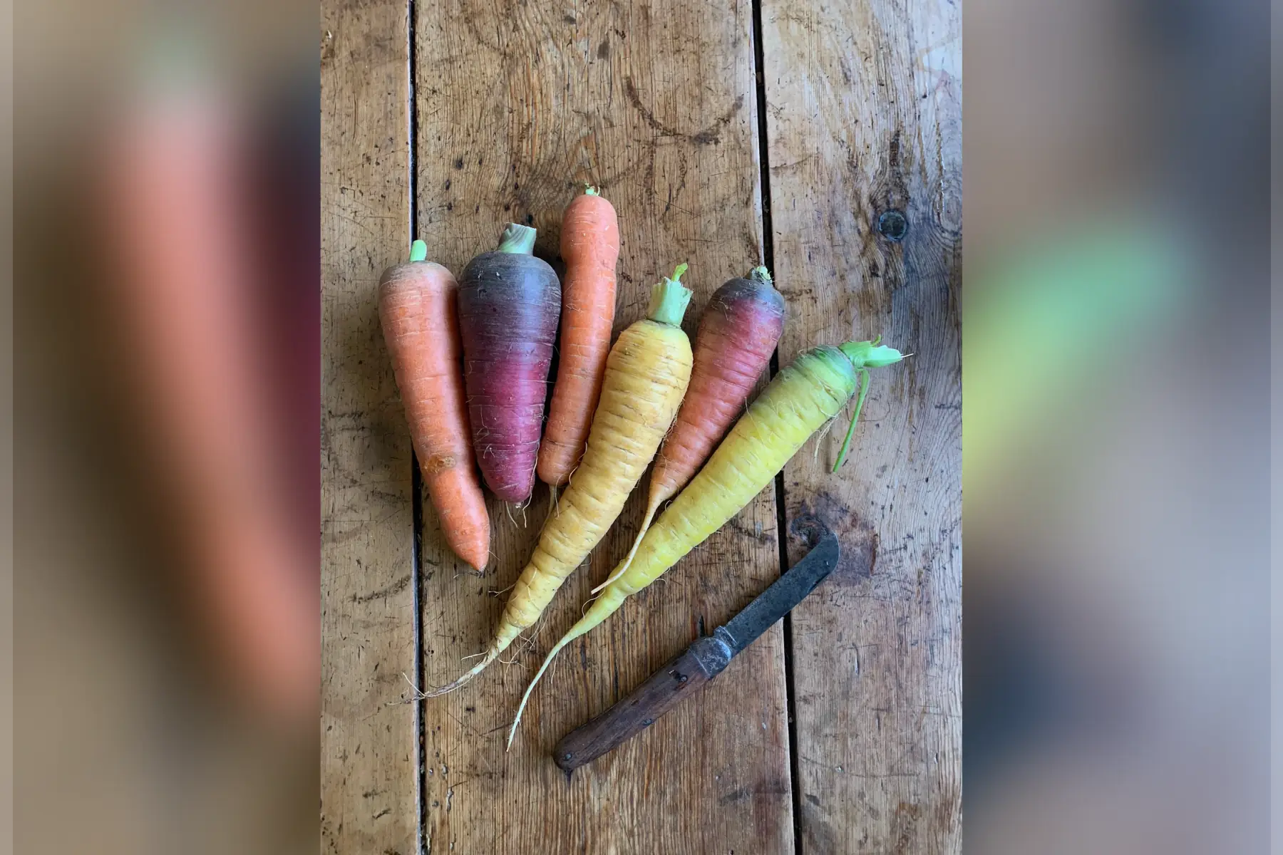 Carotte colorée mix (vrac)