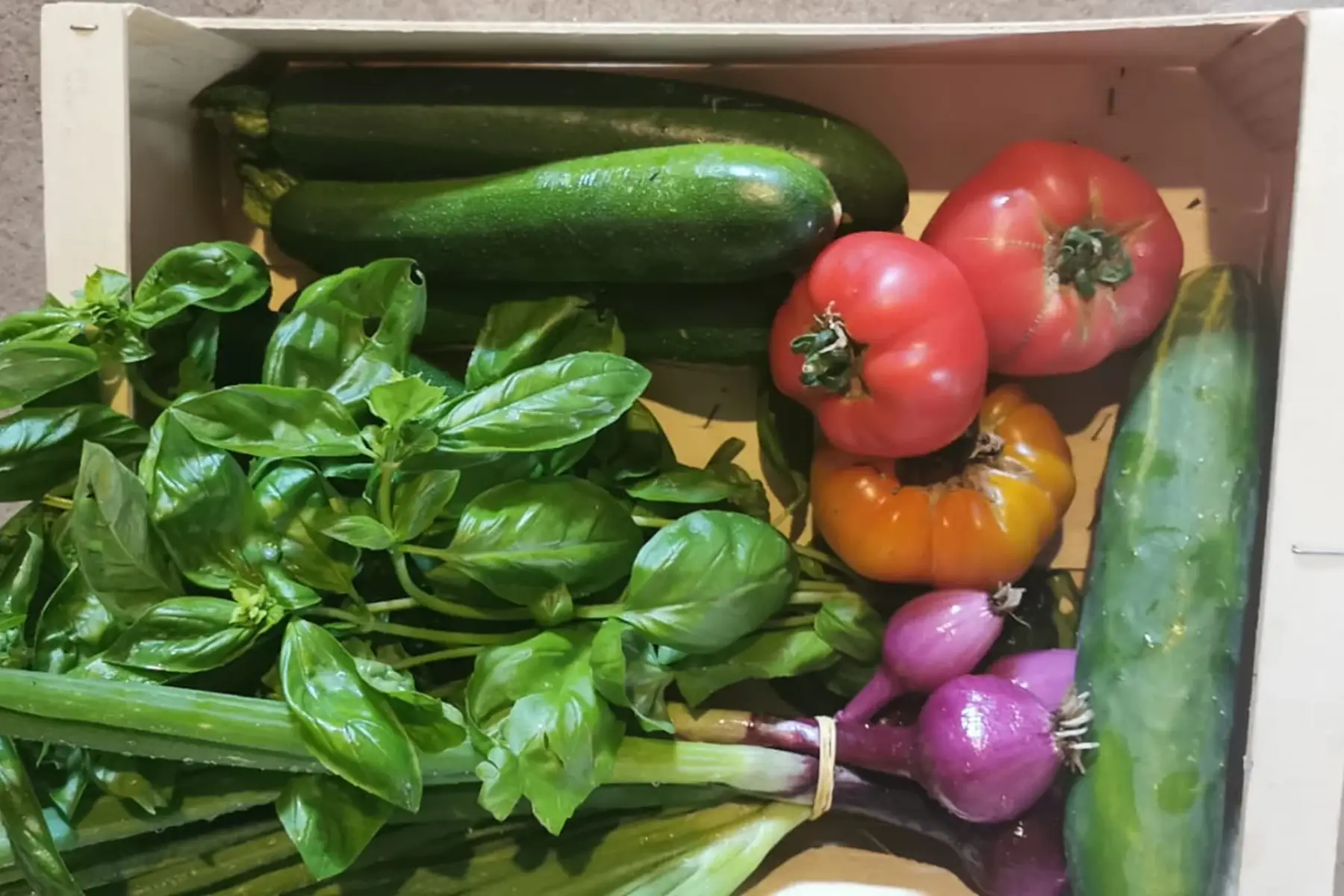 panier de légumes solo