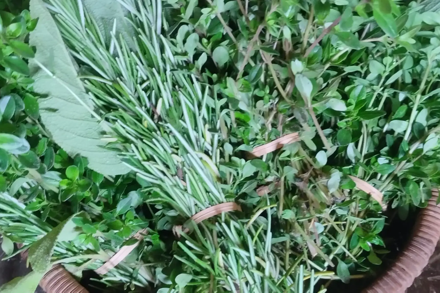 Bouquet garni