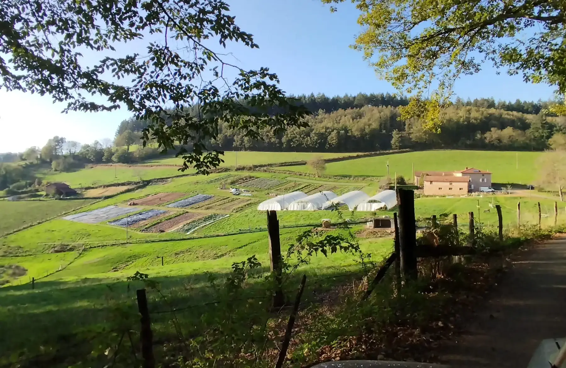 Fanny Les Jardins légumes bio