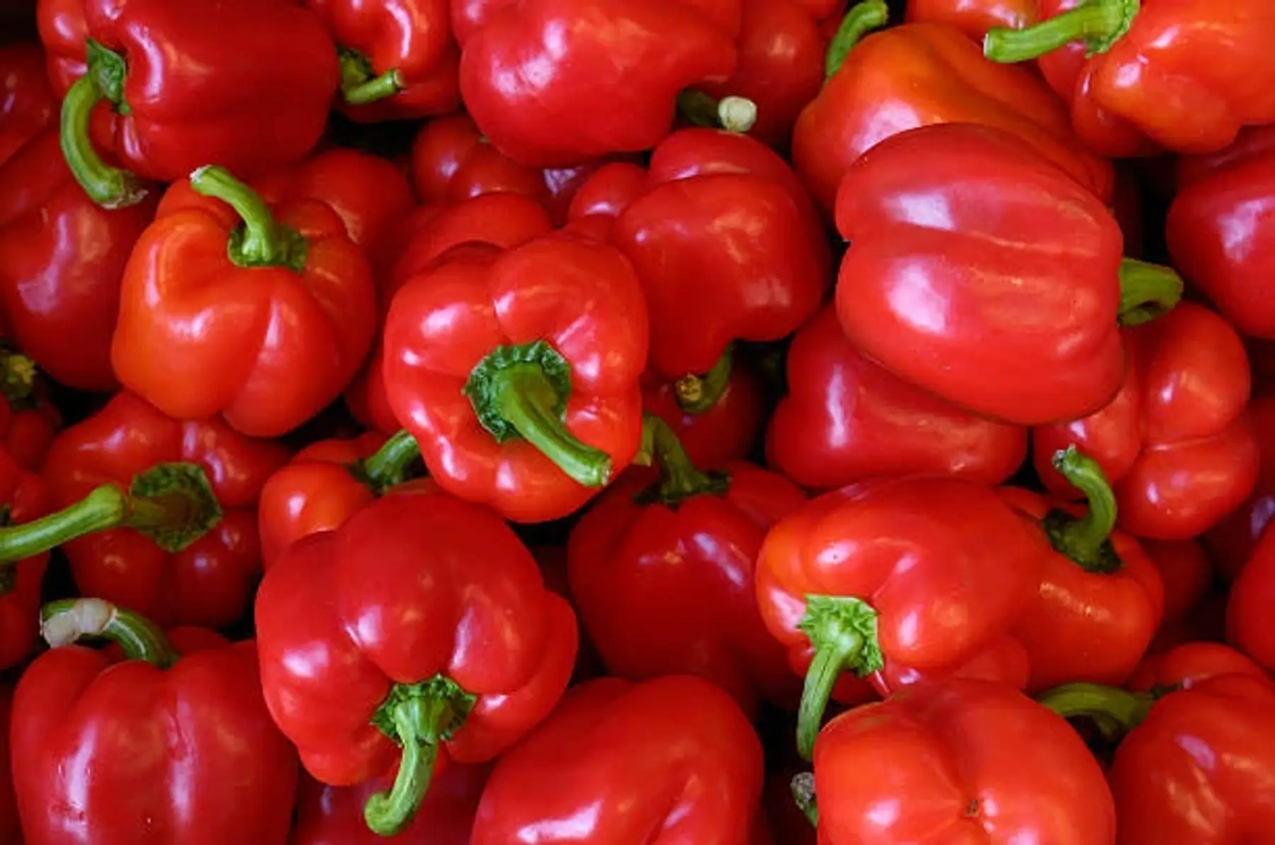 Poivrons rouges