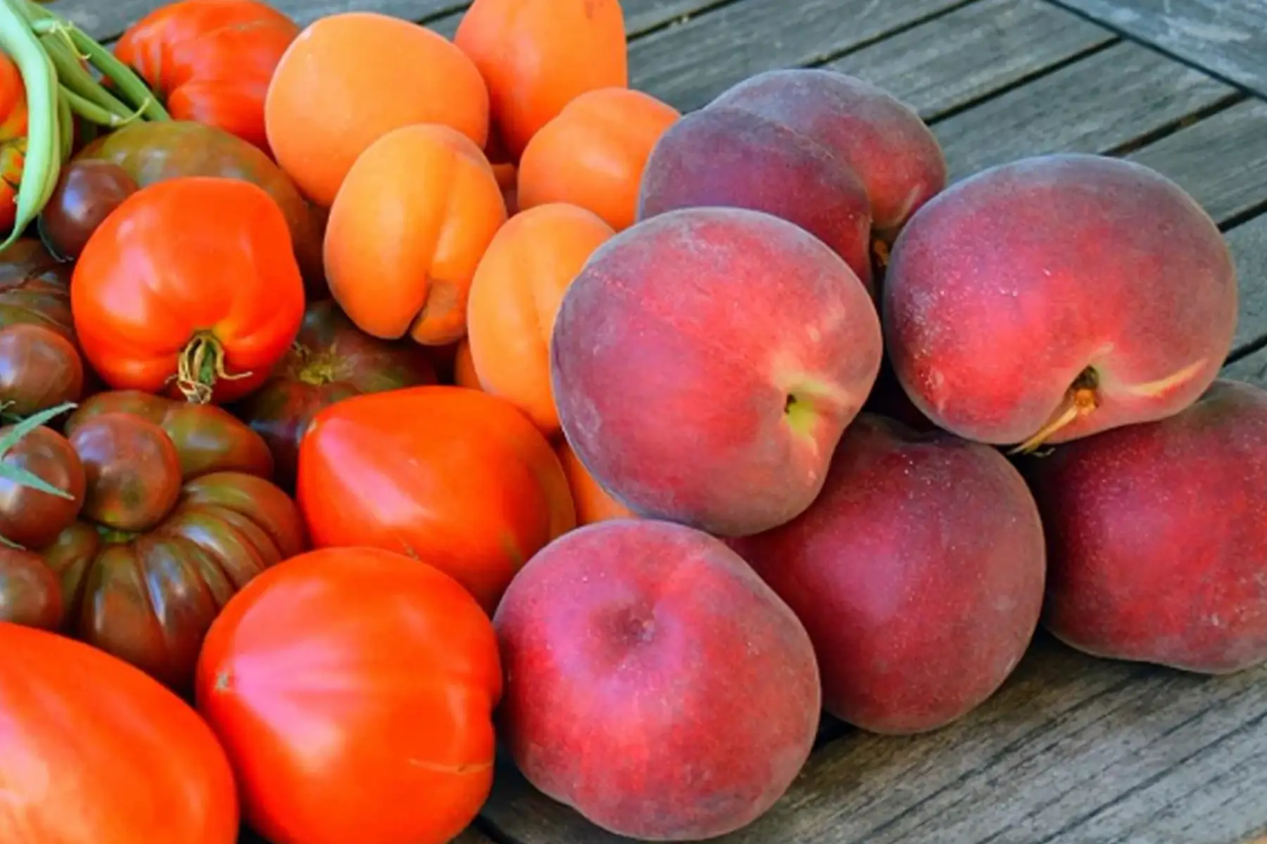 LES VERGERS DE MAUBEC