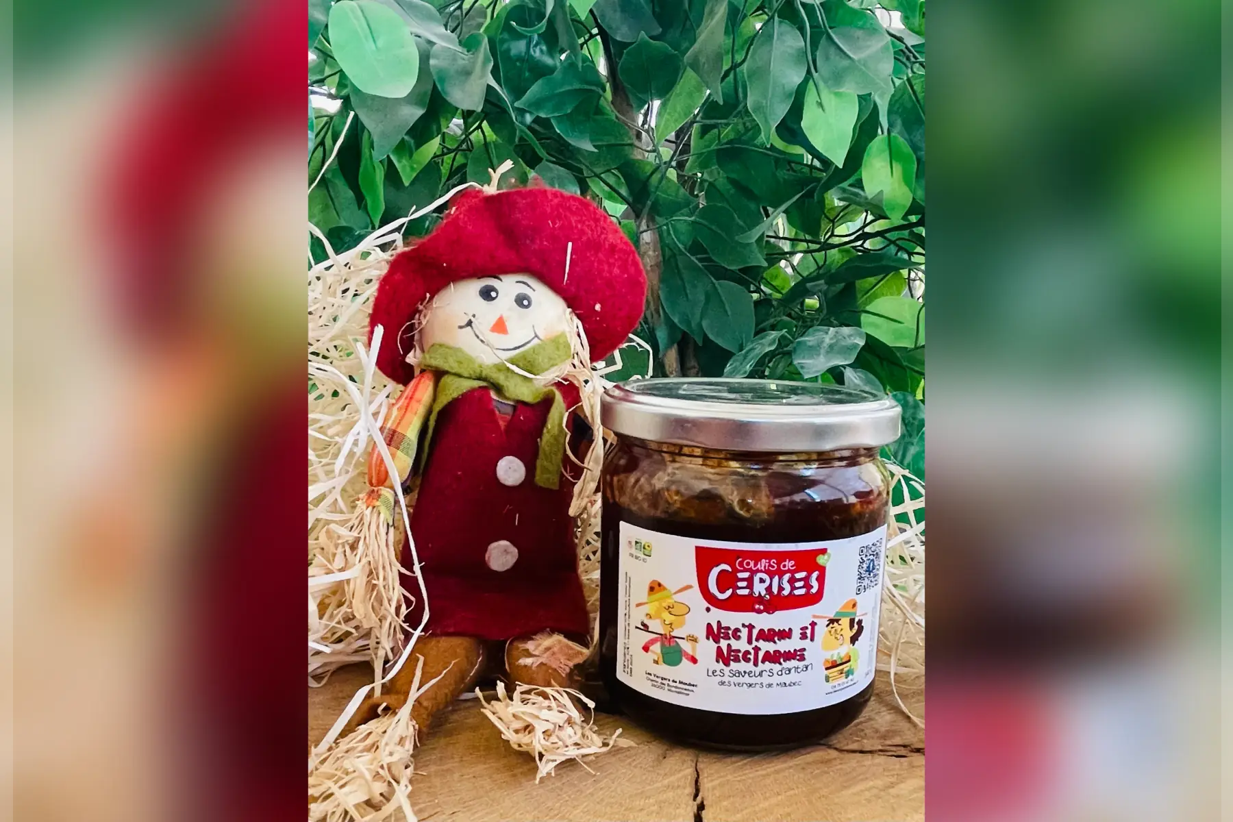 coulis de cerises bio