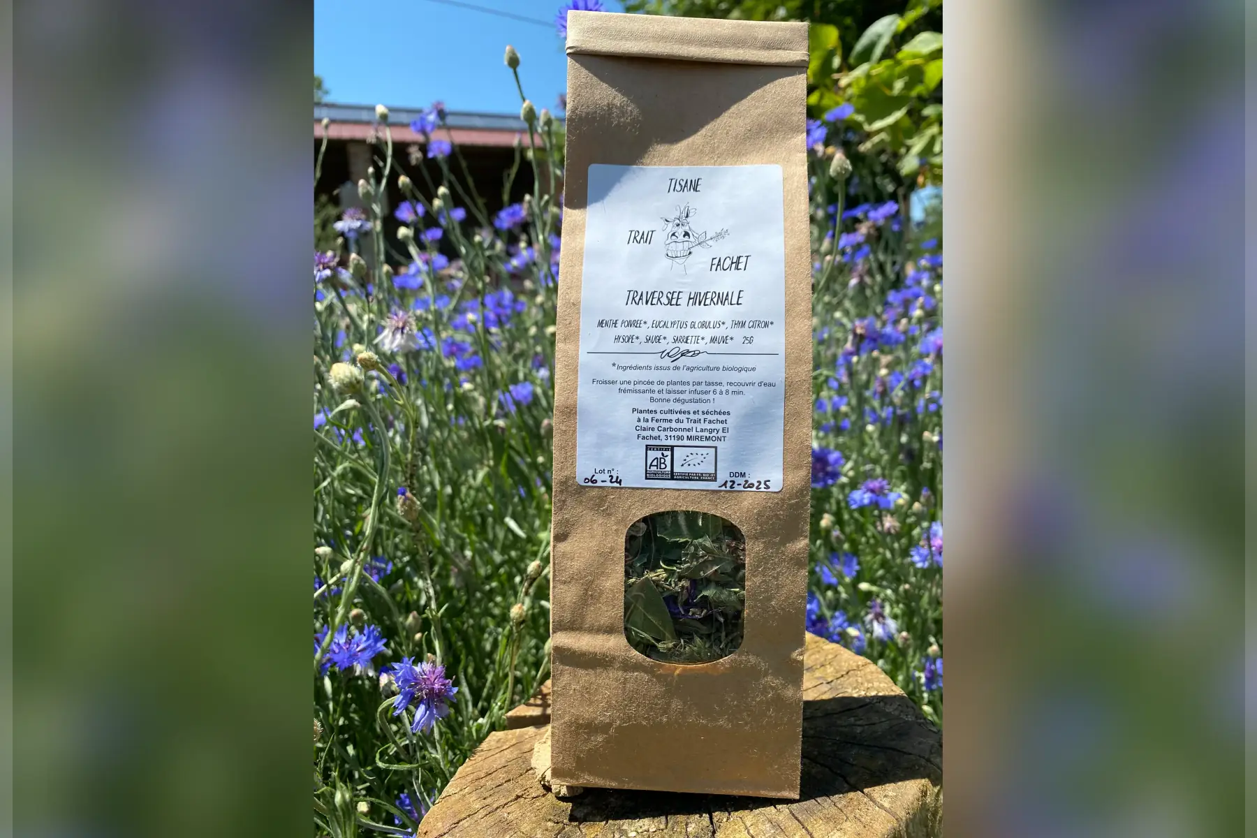 tisane traversée hivernale