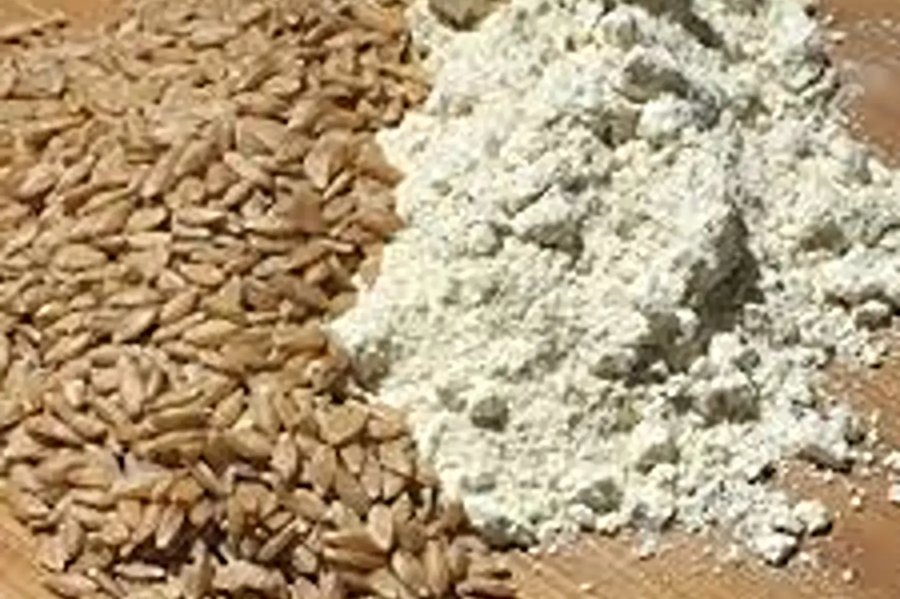 farine de grand epeautre