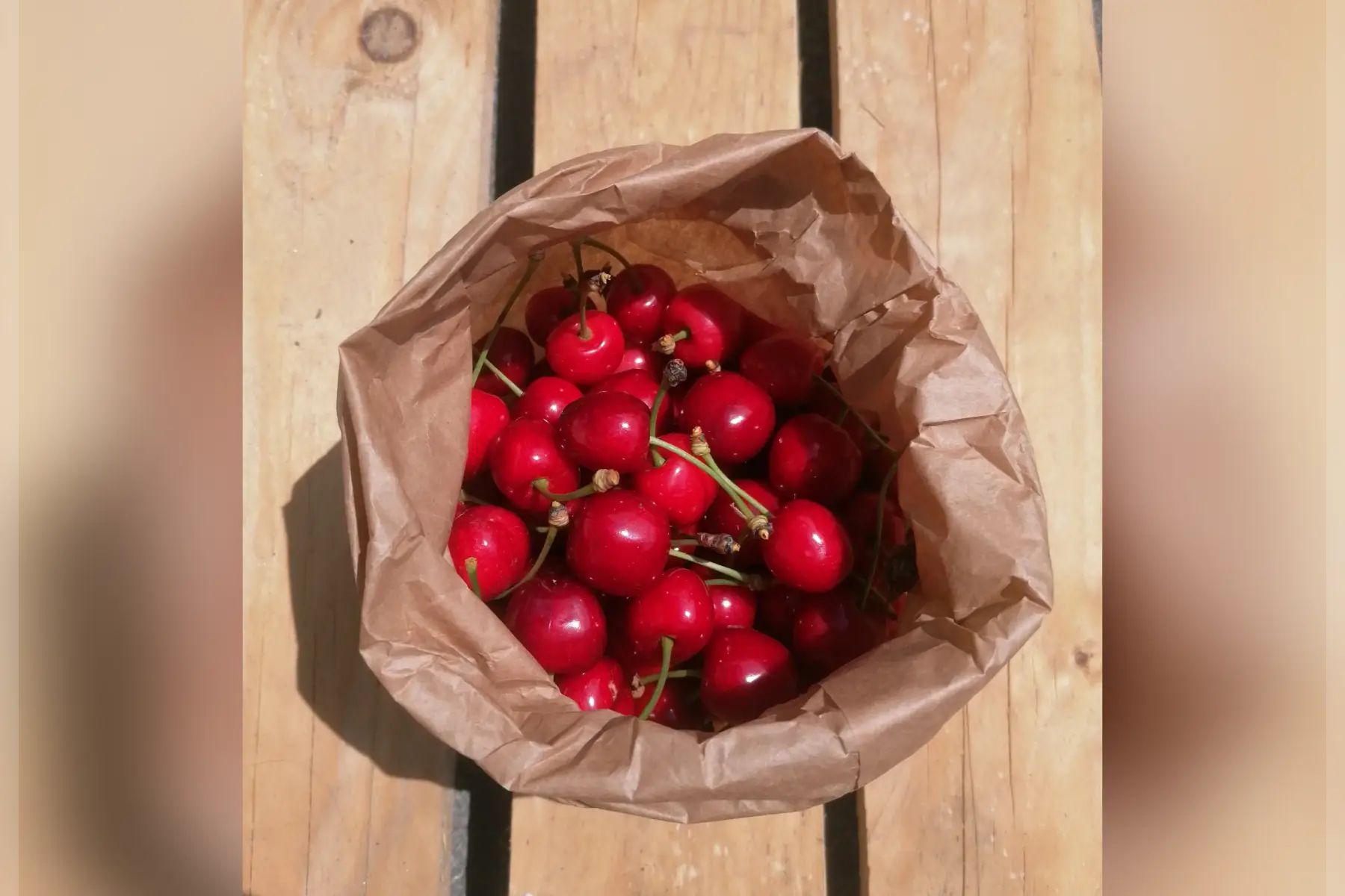 Cerise