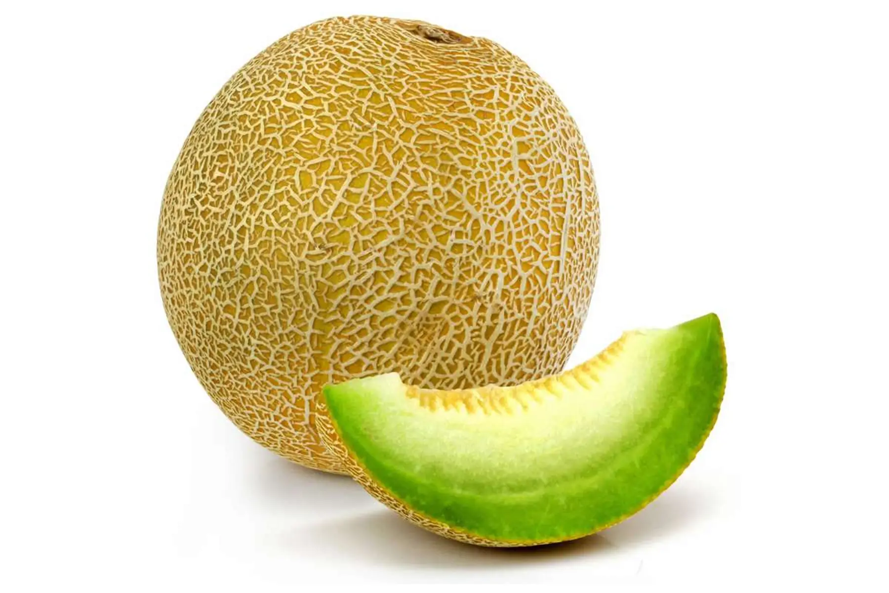 Melon galia