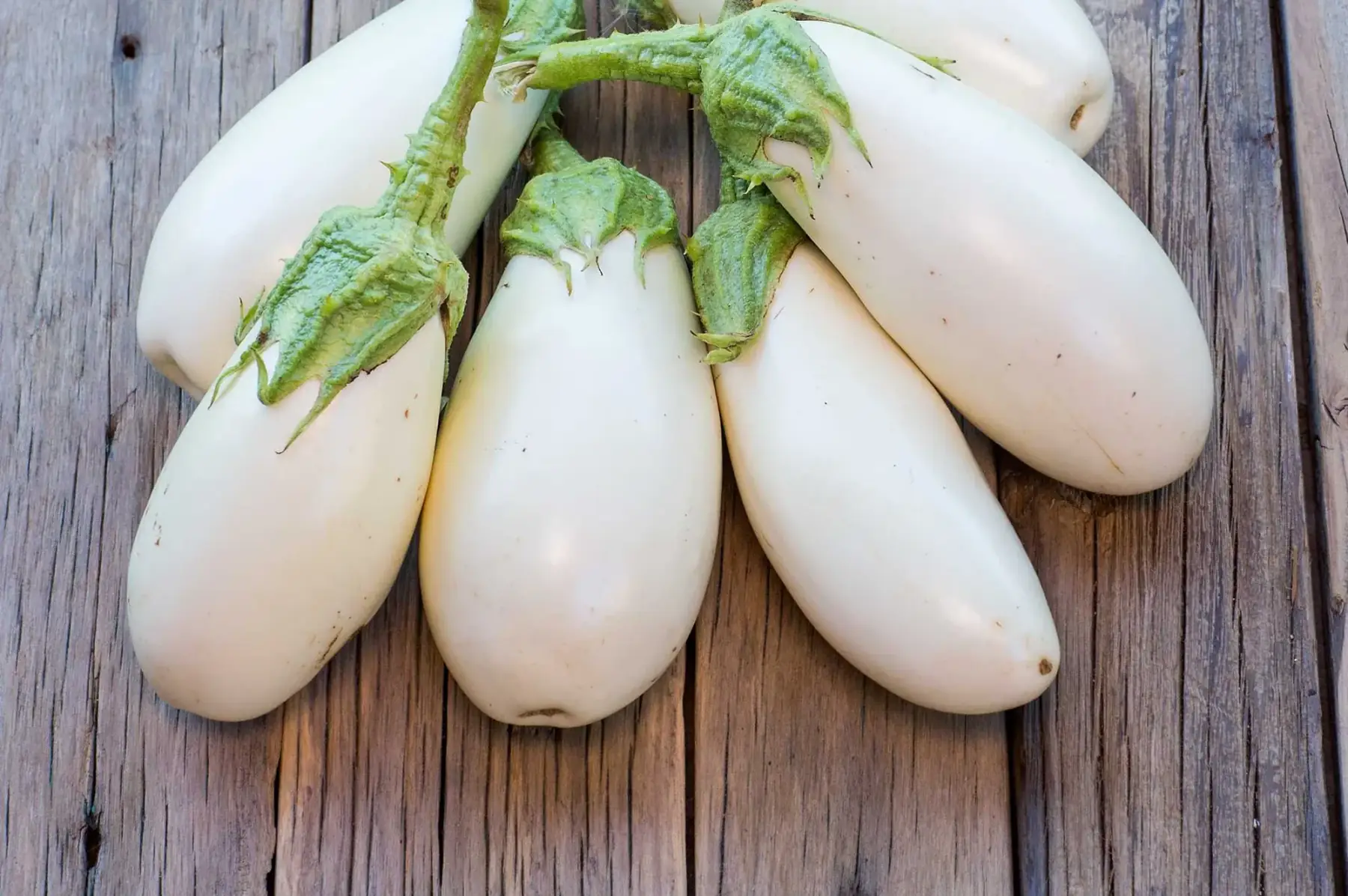 aubergine blanche