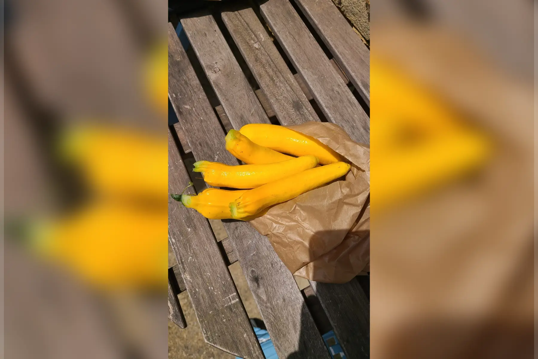 courgettes jaunes