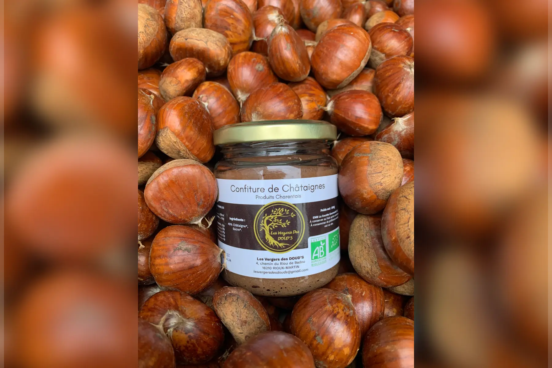 Confiture de châtaigne 200g bio