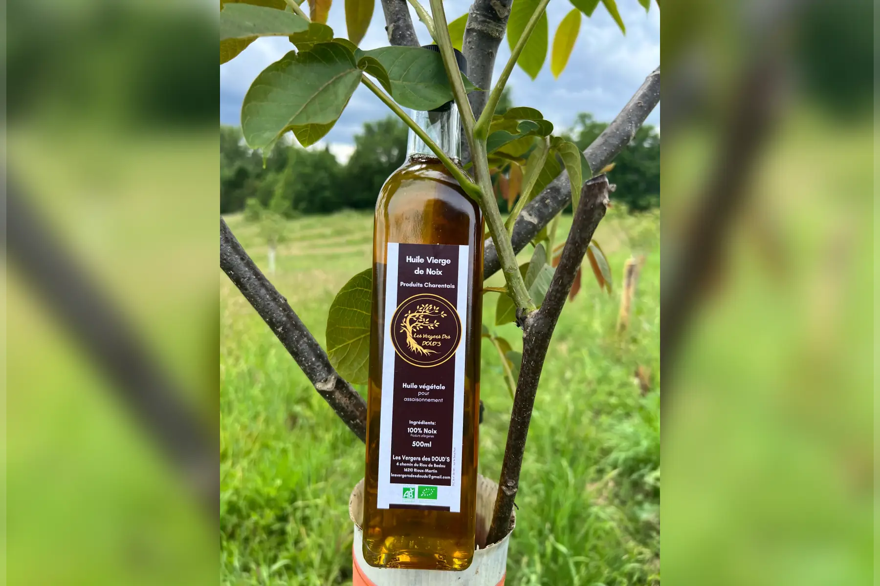 Huile de noix pressée à chaud 500ml bio