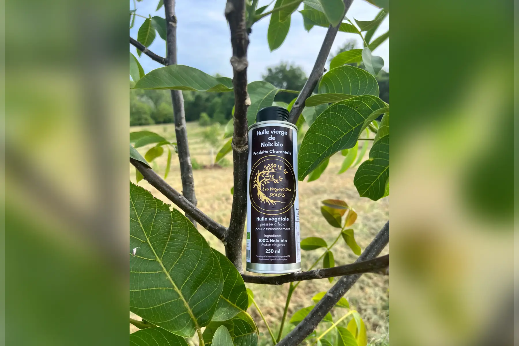 Huile de noix pressée à froid bio