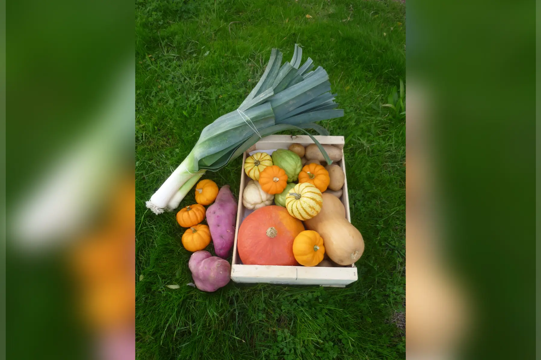 Panier de légumes "semaine"