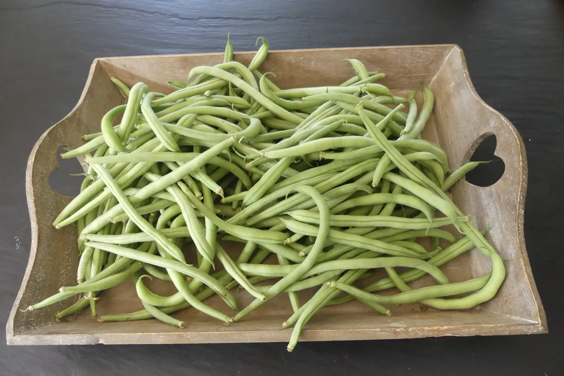 haricots verts