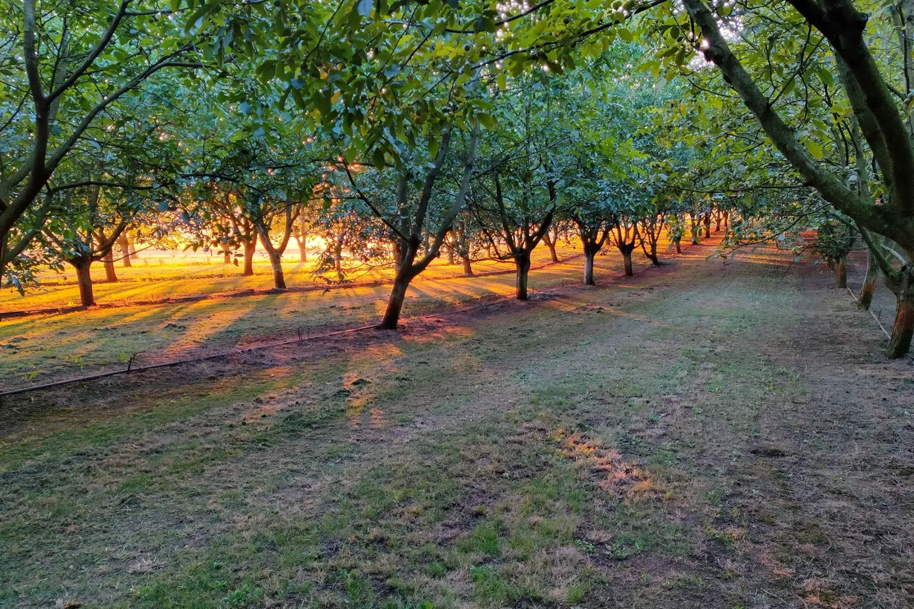 Les Vergers De Tailhac