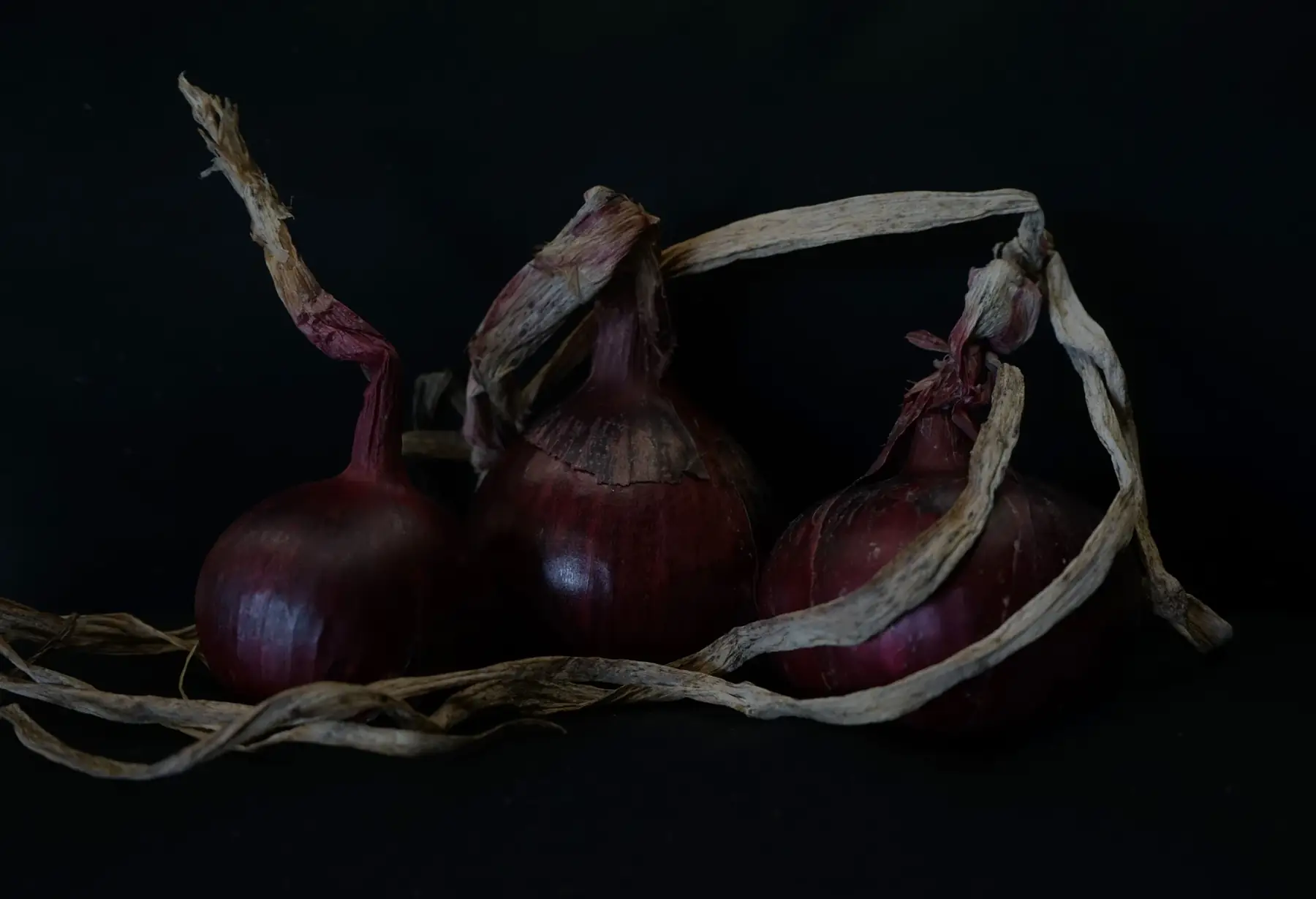 Oignon rouge