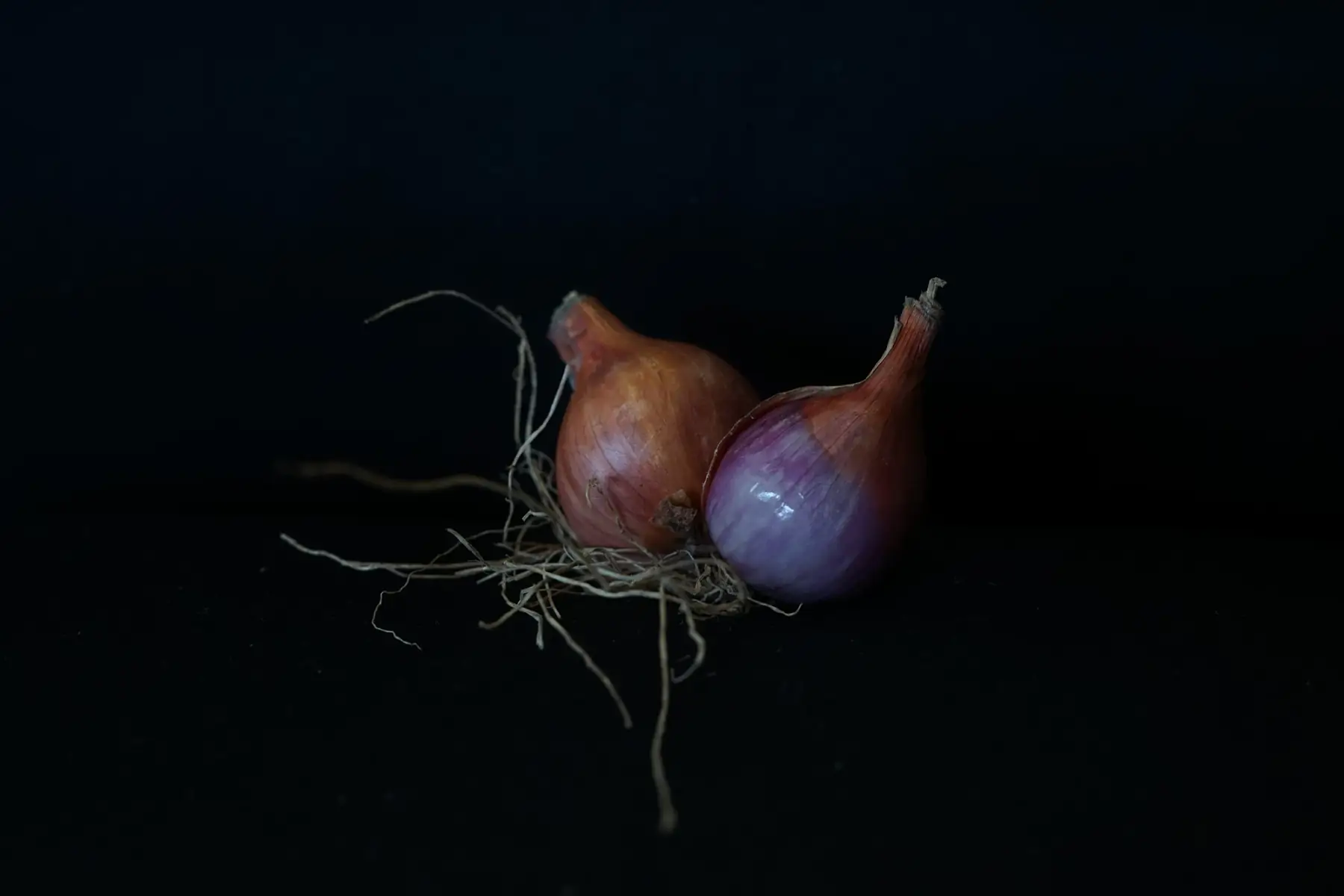 la ferme de maubreuil