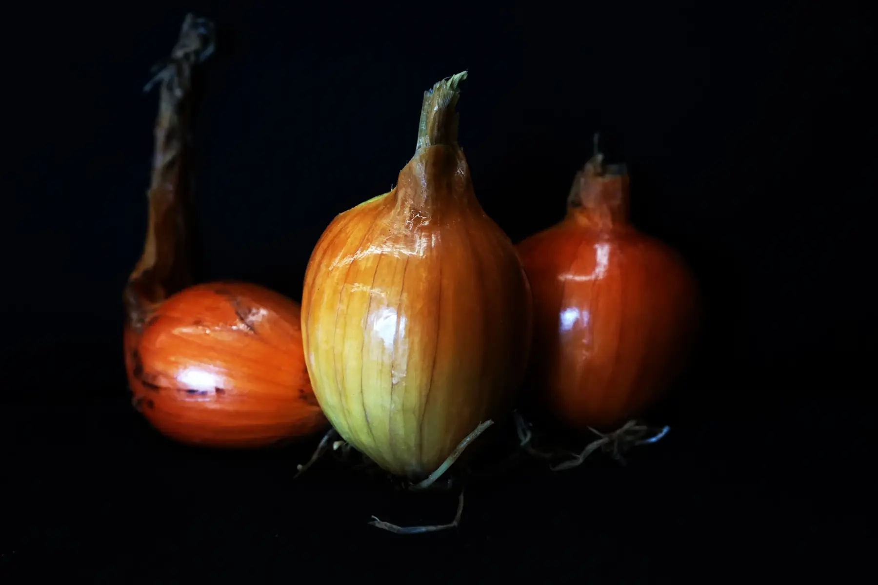 la ferme de maubreuil