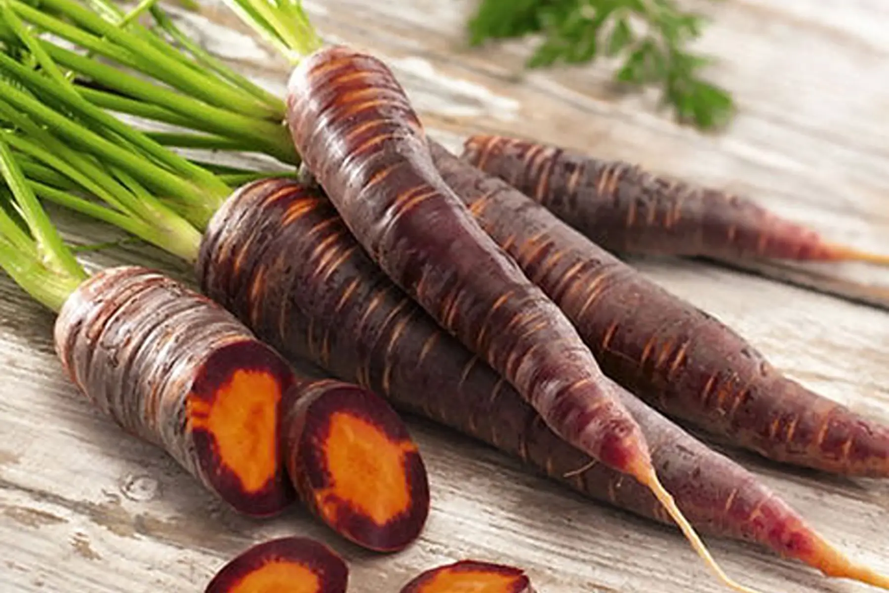 Carotte violettes