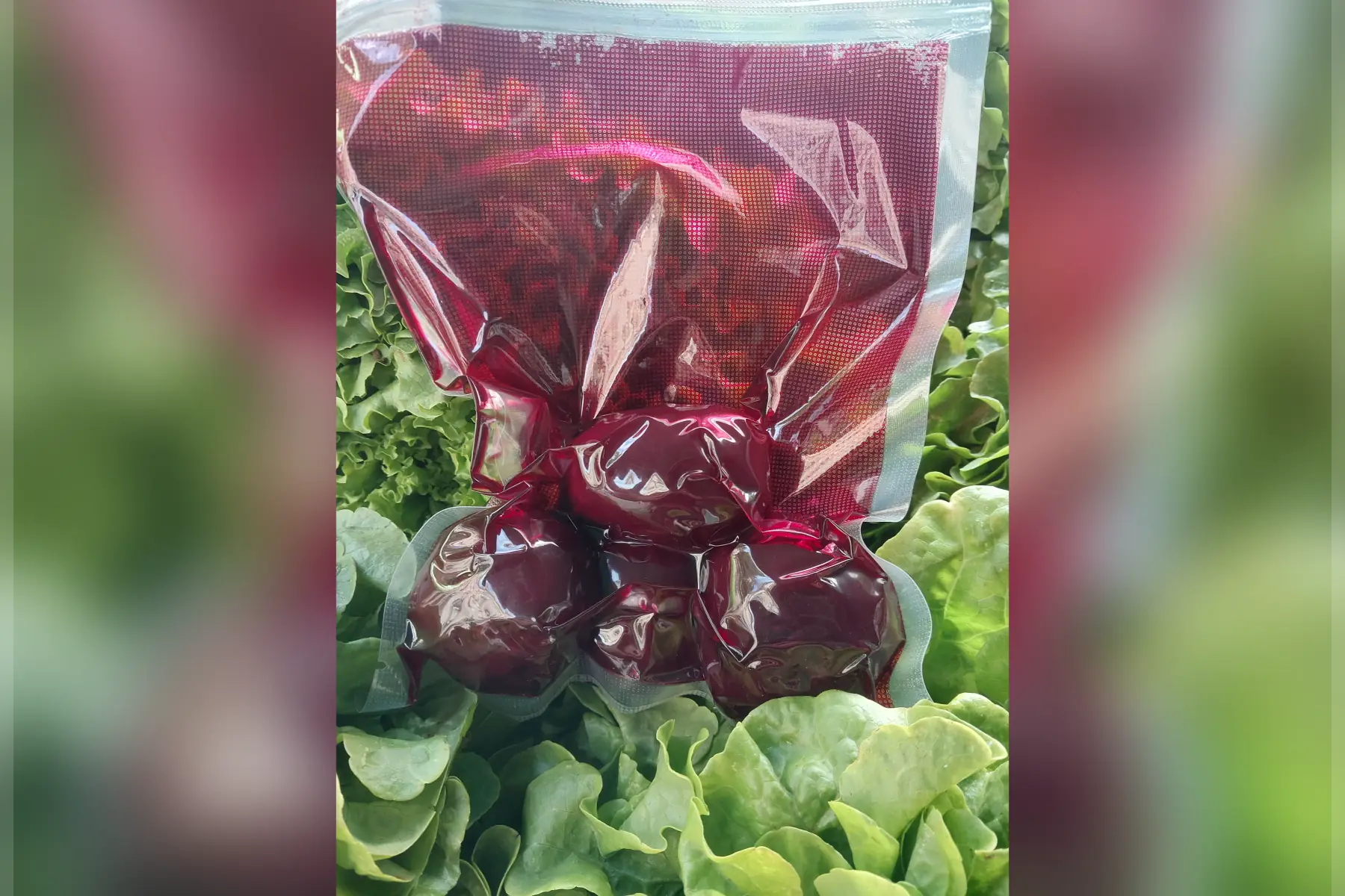 Betterave rouge cuite bio