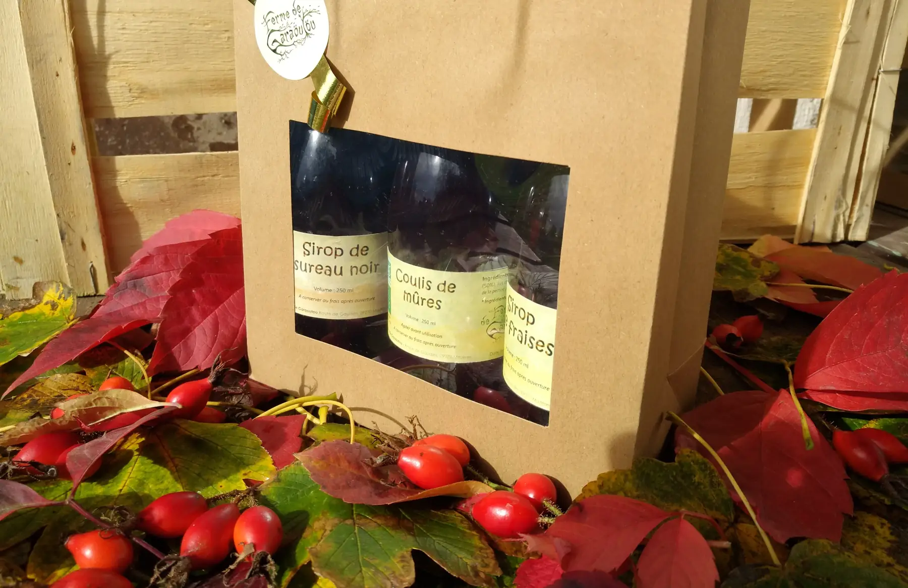 Pochette cadeau sirops et coulis -> voir description