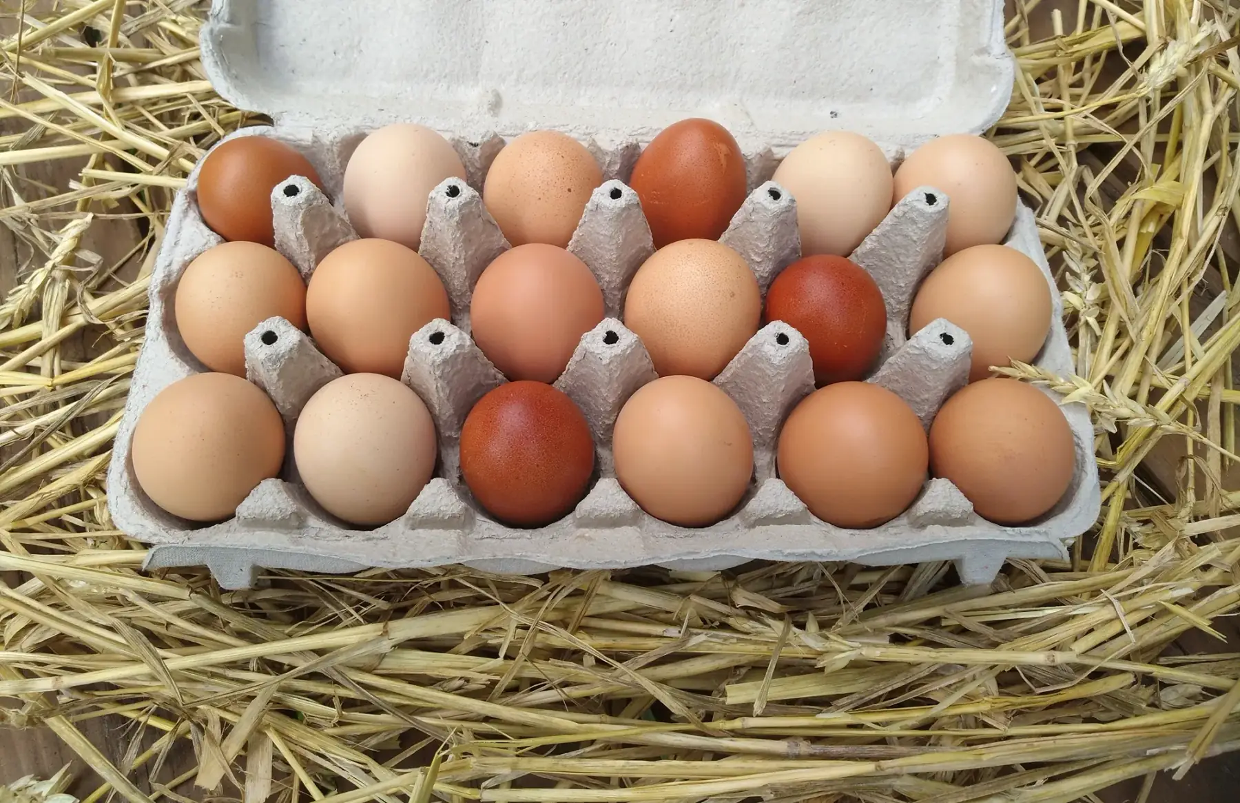 Œufs fermiers