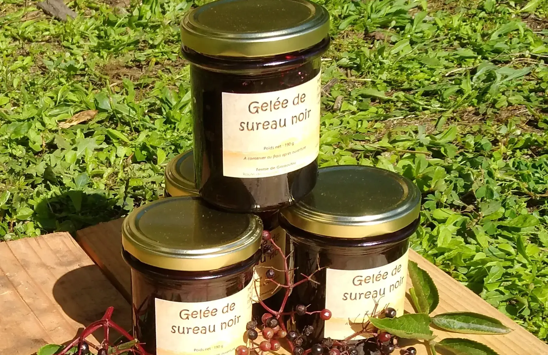 Gelée de sureau noir