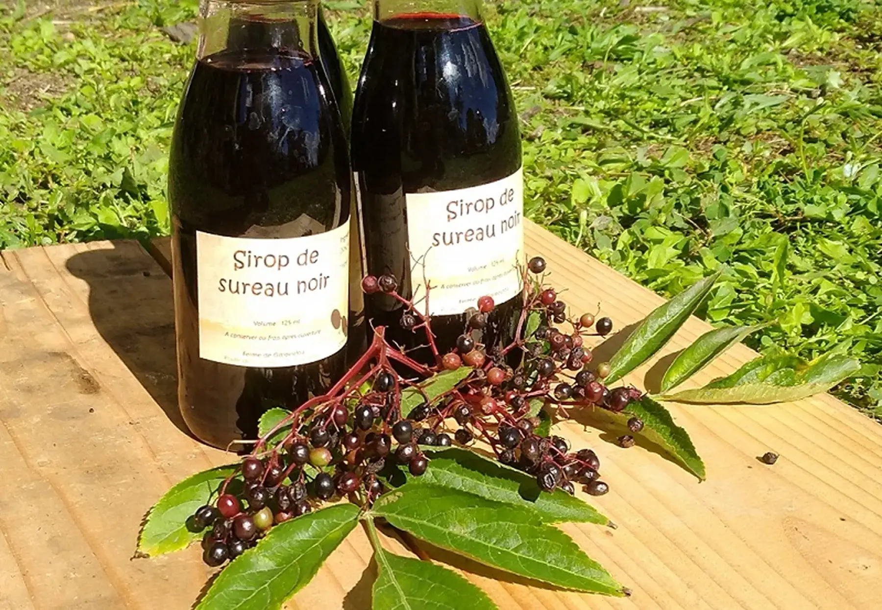 Sirop de sureau noir
