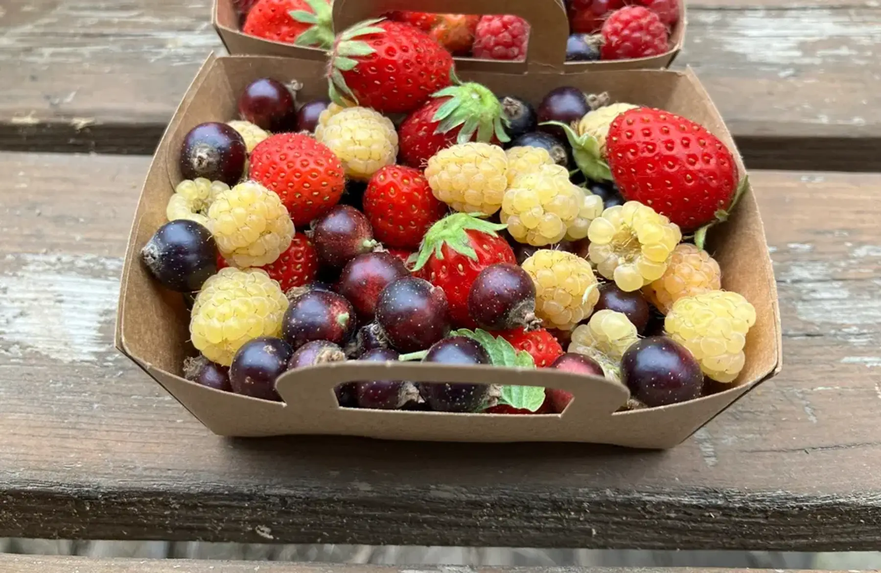 Barquette framboises-fraises-cassis