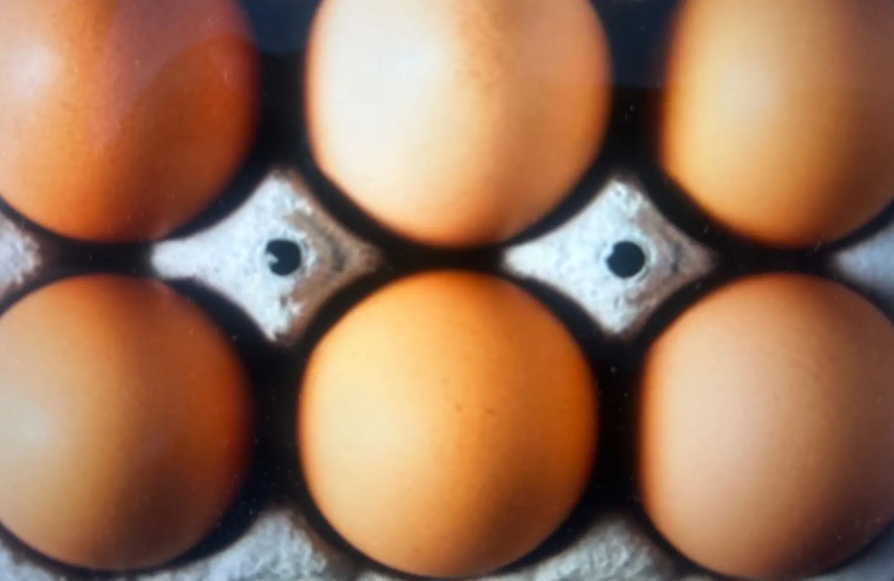 oeufs en boite de 6 AB