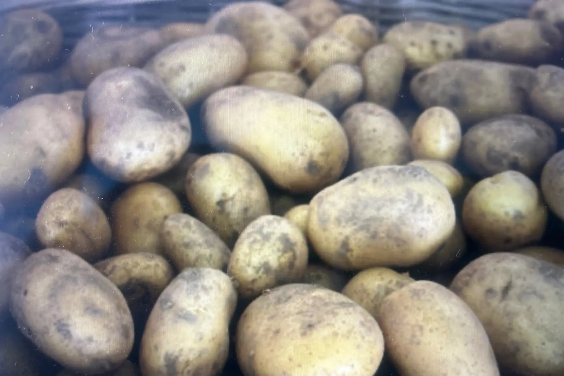 Pomme de terre ALLIANS AB