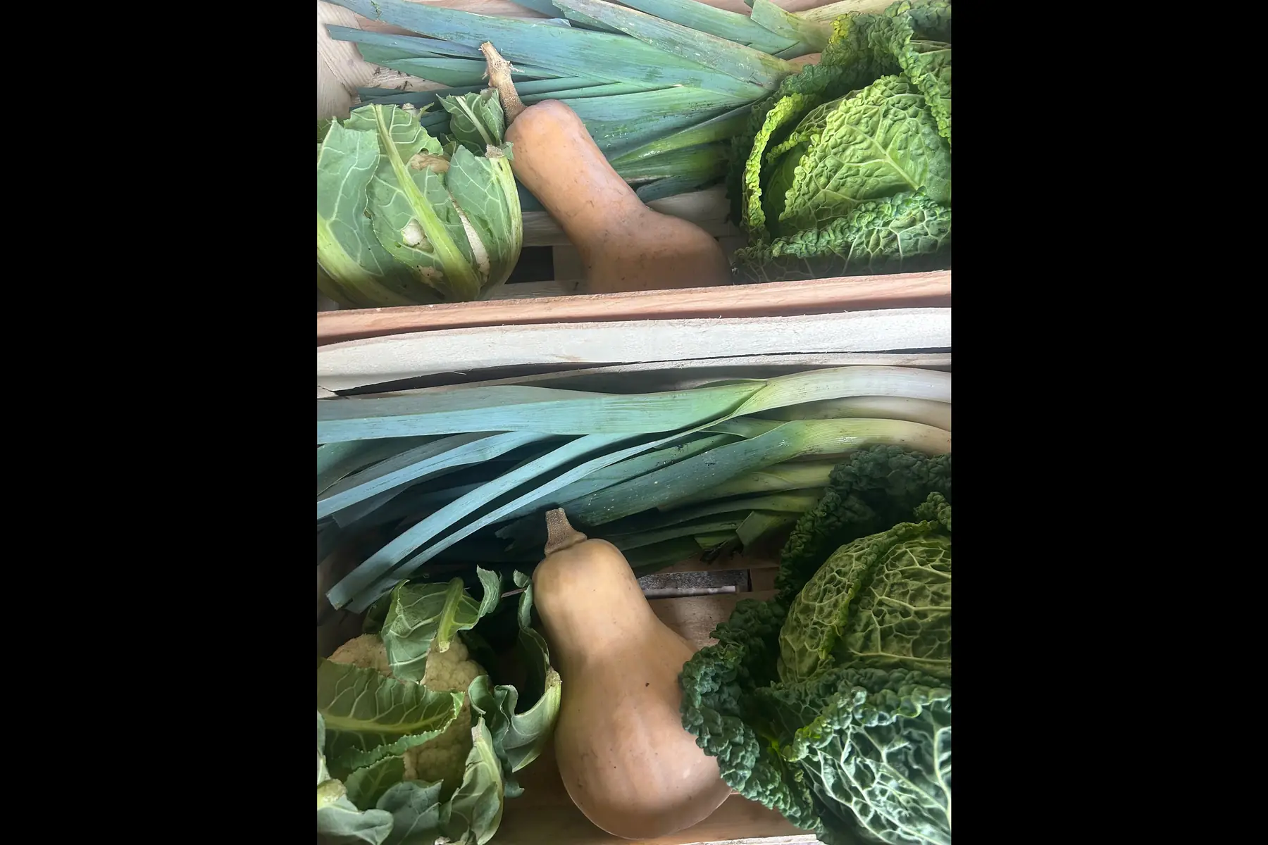 panier LEGUMES DE SAISON AB