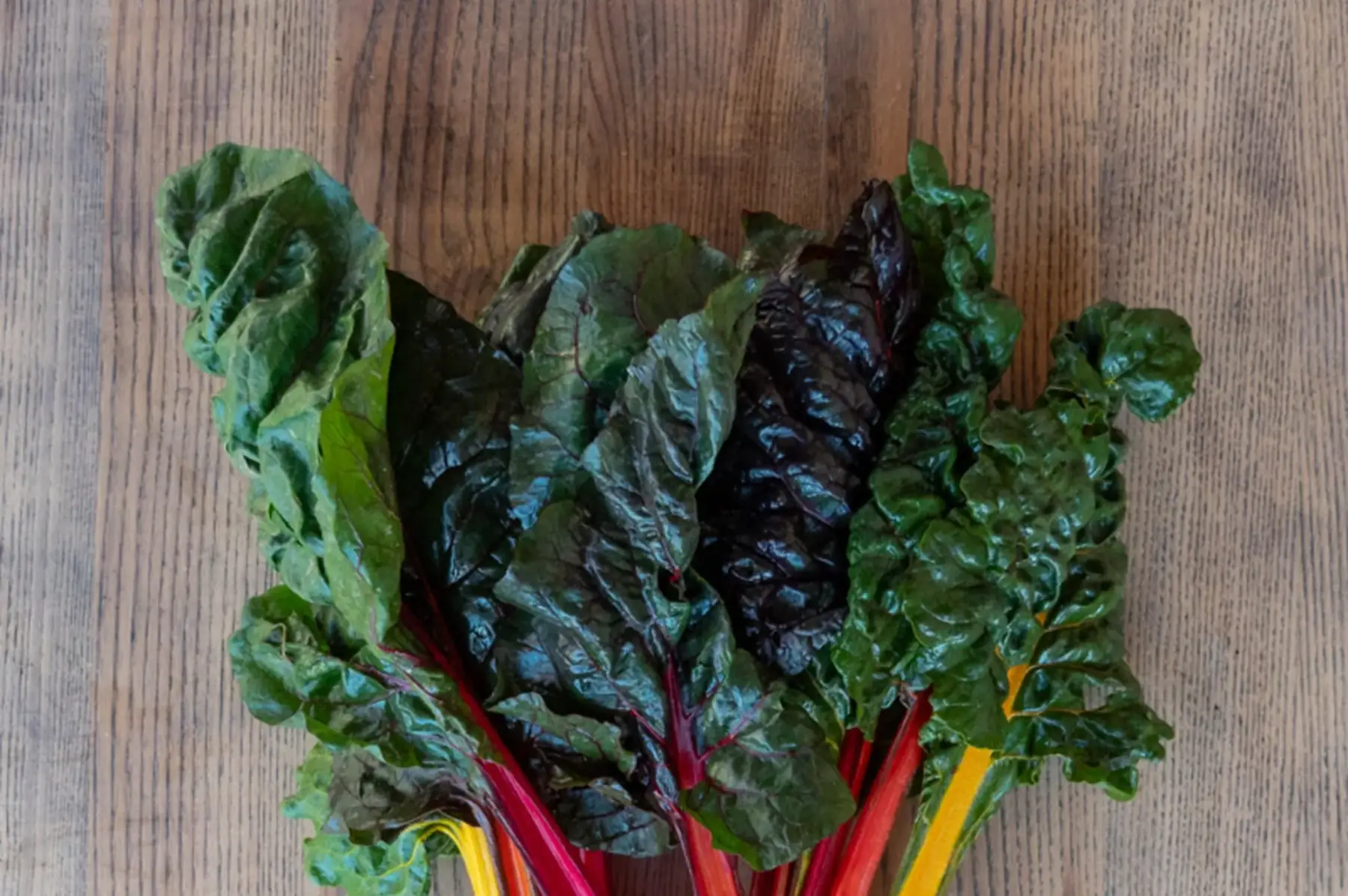 blettes blanches ou colorées ab