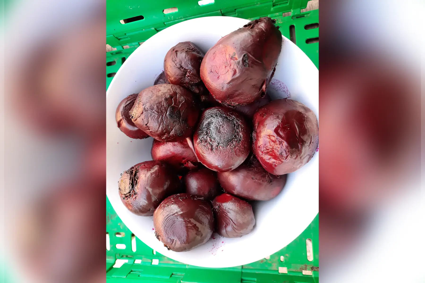 Betterave rouge cuite