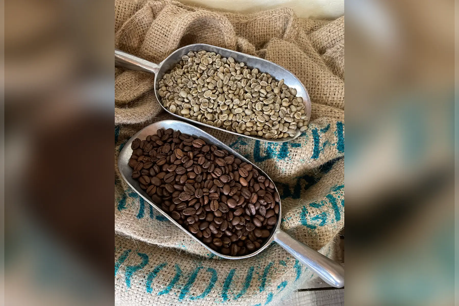 Cameroun Bugisu - café en grains