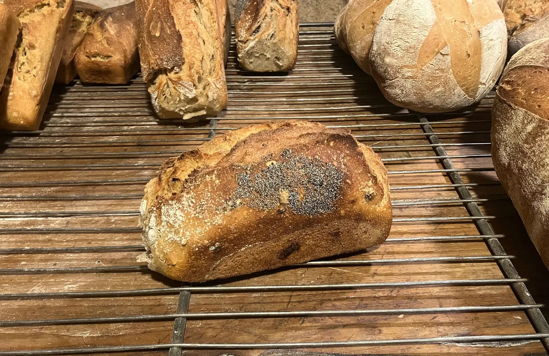 Pain aux fruits secs moulé