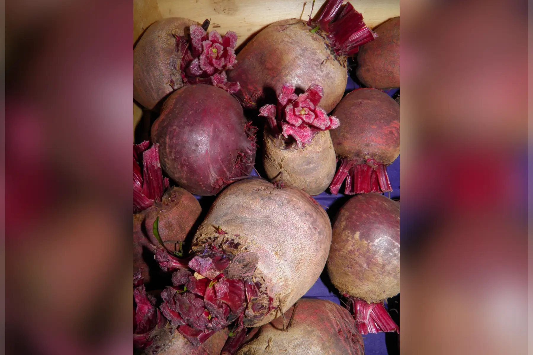 Betteraves rouges crues x 500g