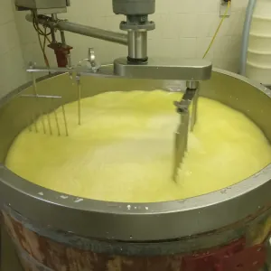 fromagerie de saint moreil