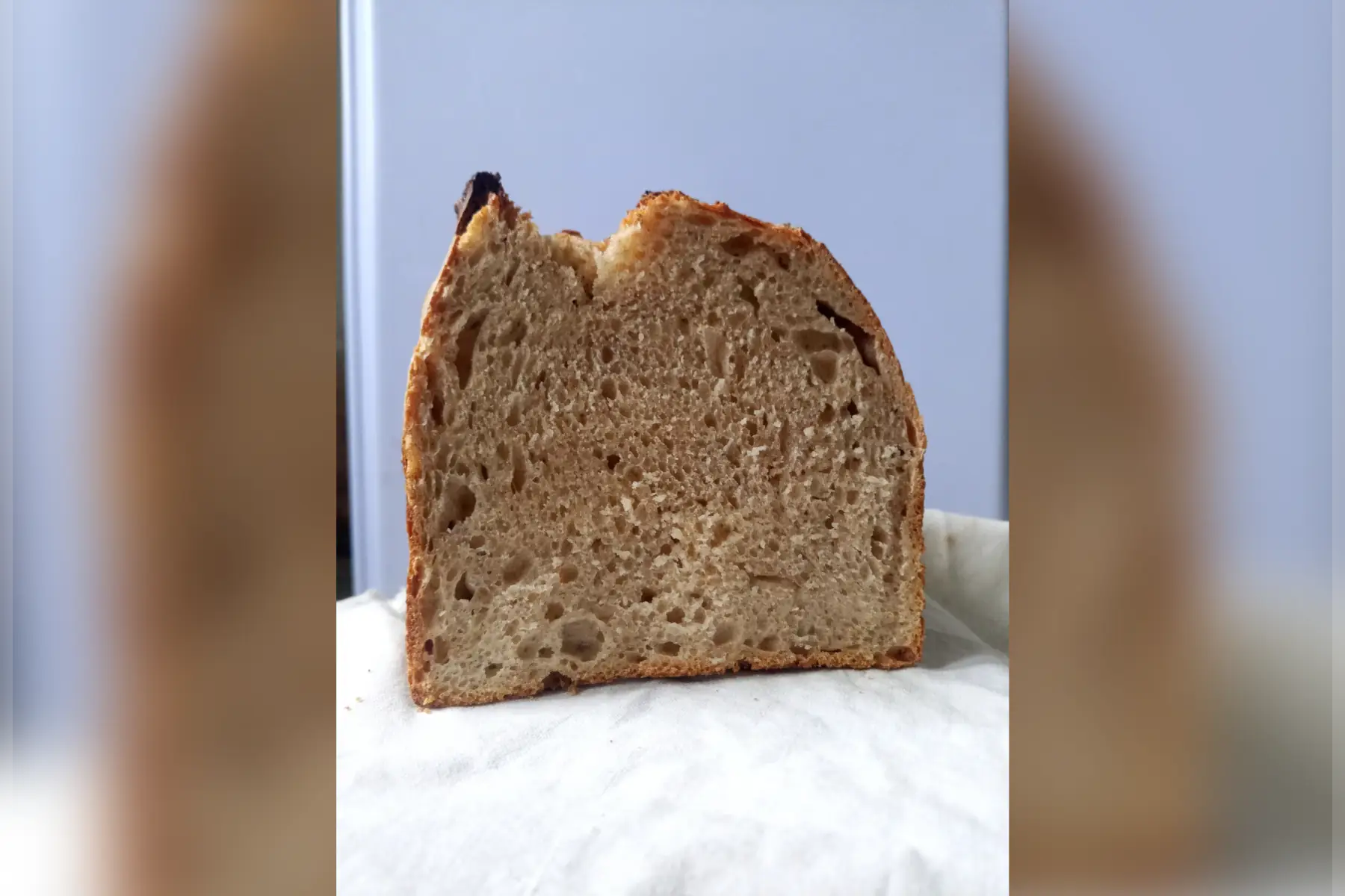 Pain T110 1KG / 5.2 euros