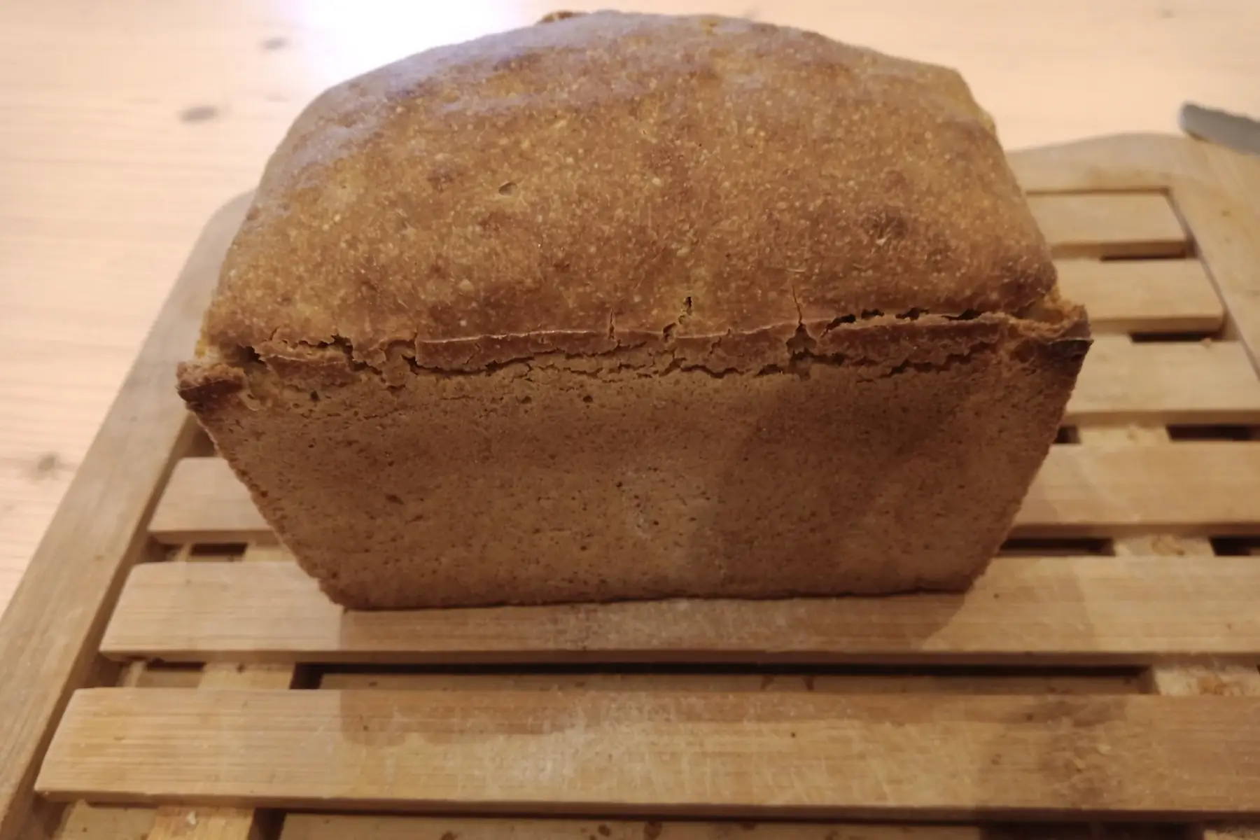 Pain de petit épeautre au levain
