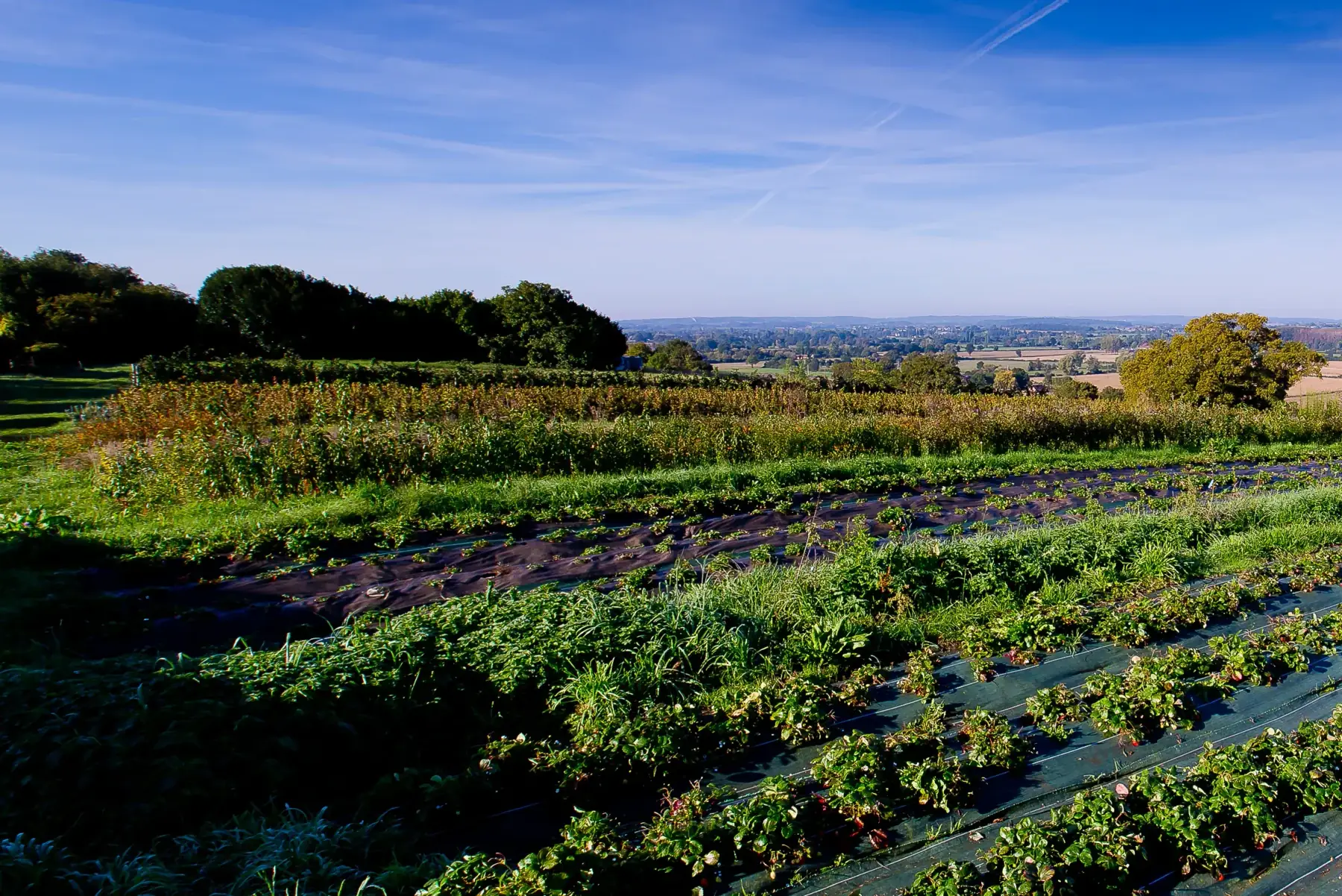 Ferme fruitière et pépinière des Broussailles