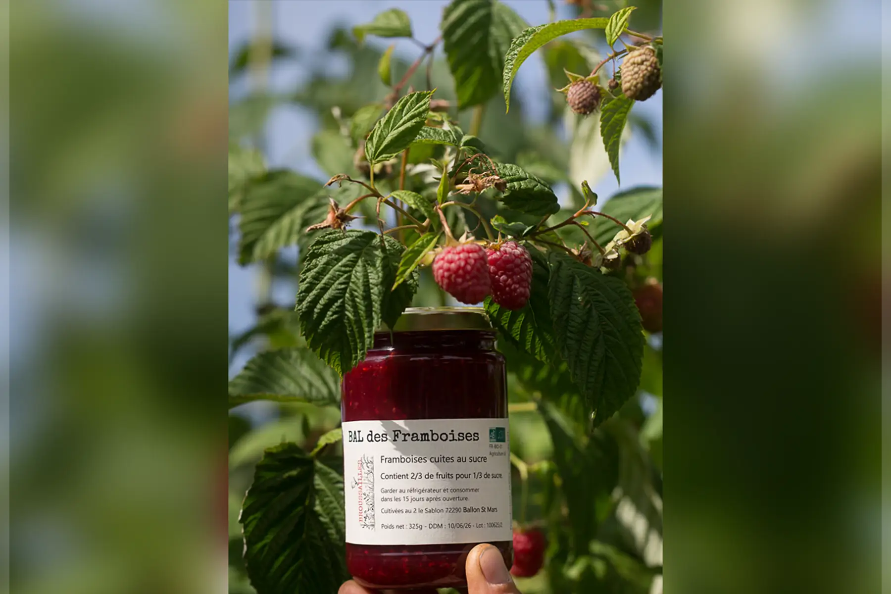 Confiture - Bal des framboises