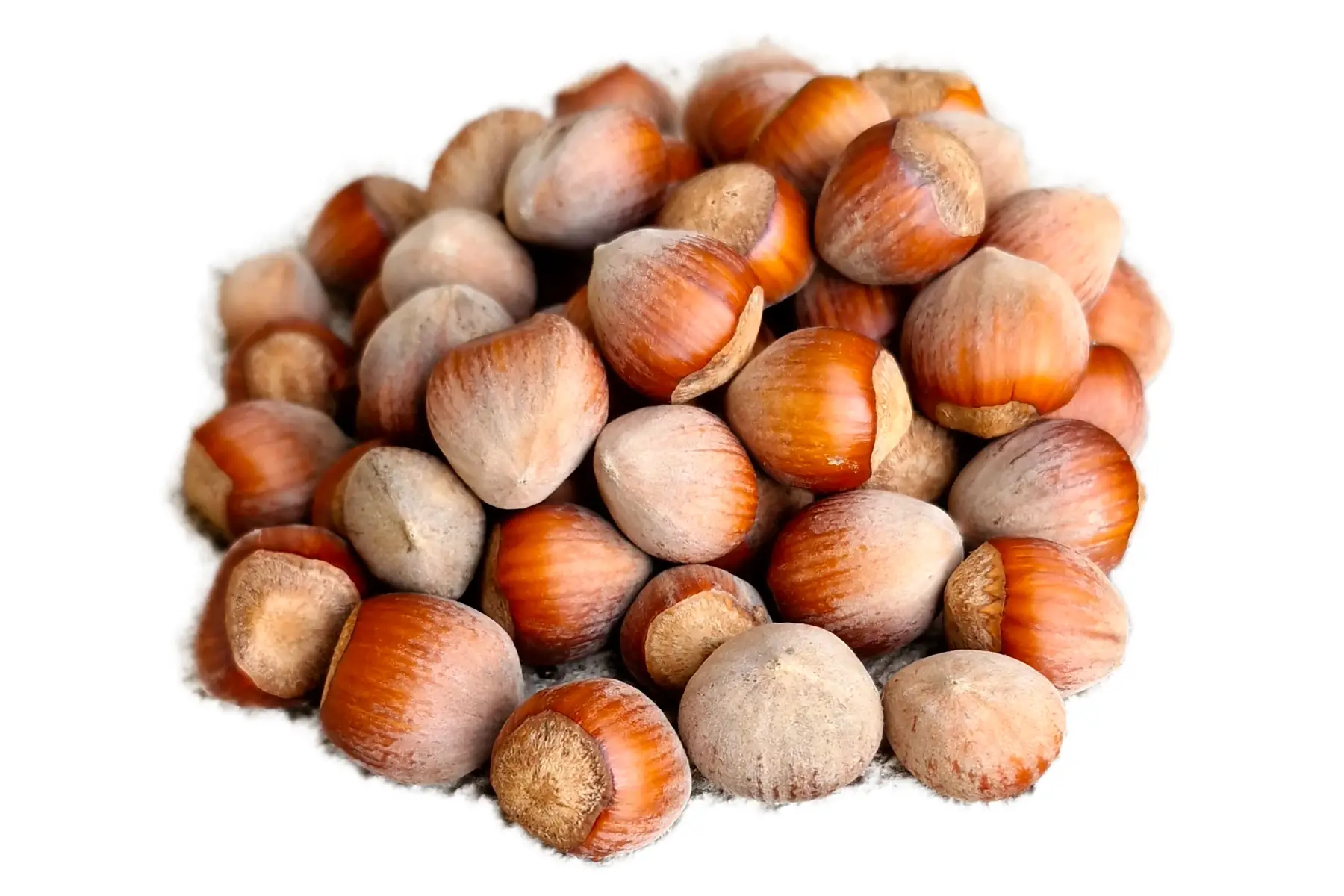 Noisettes Corse BIO