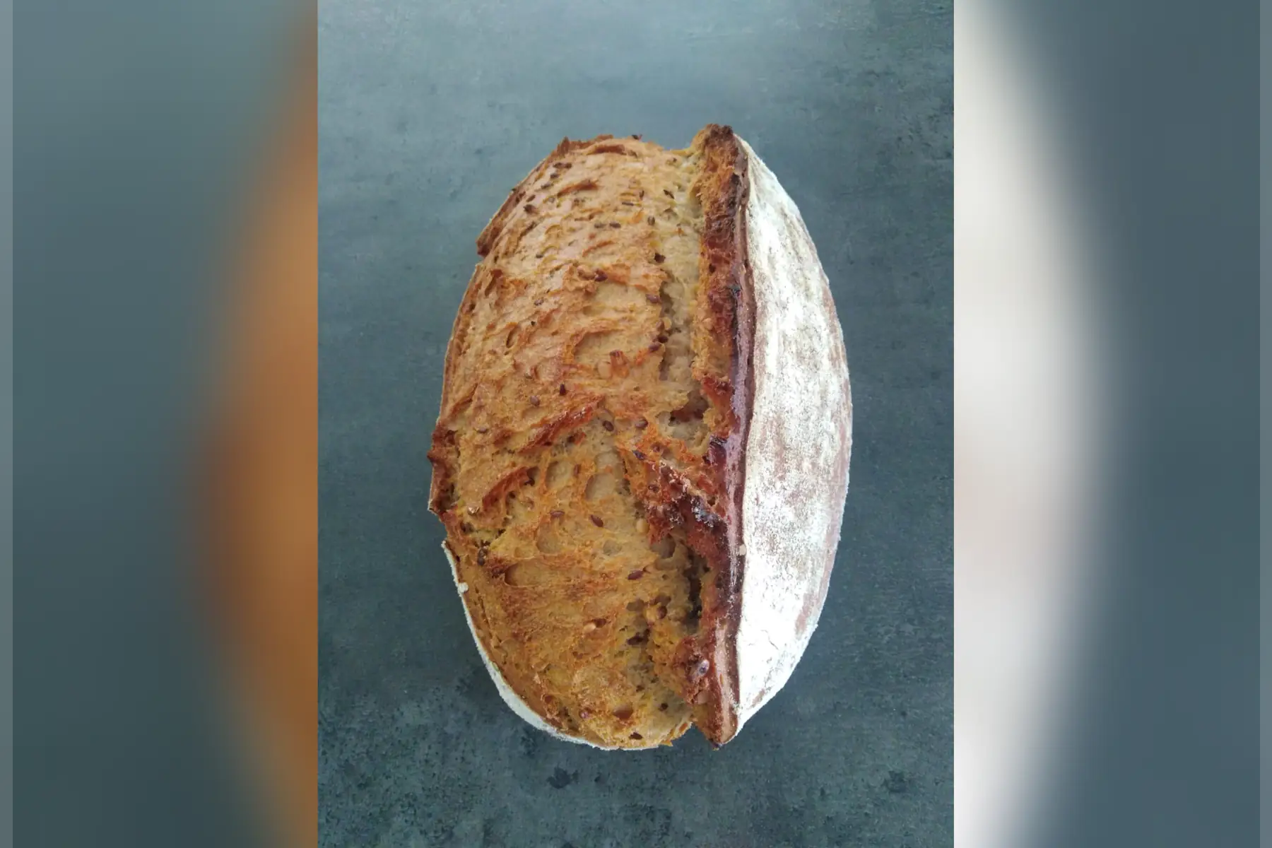 Campagne graines 500g