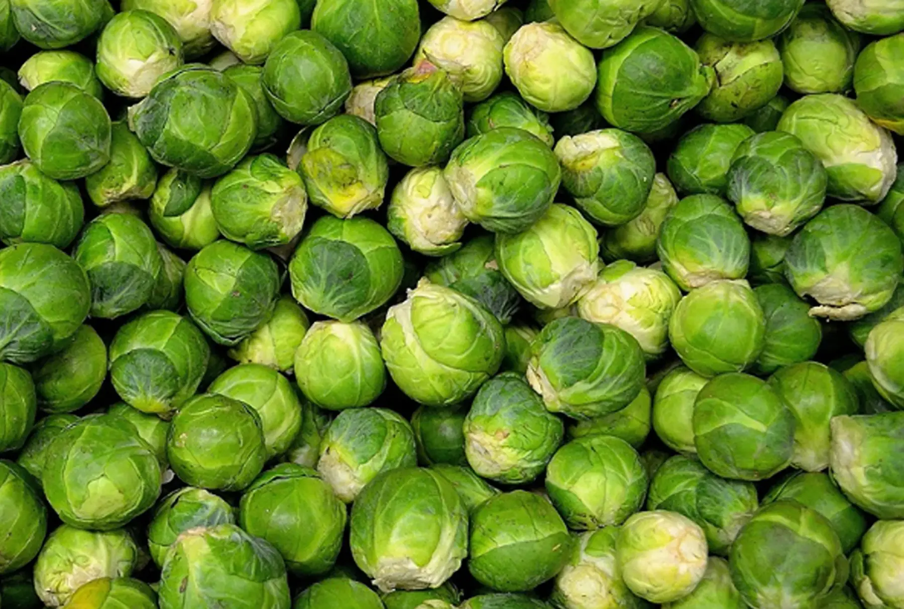 chou bruxelles