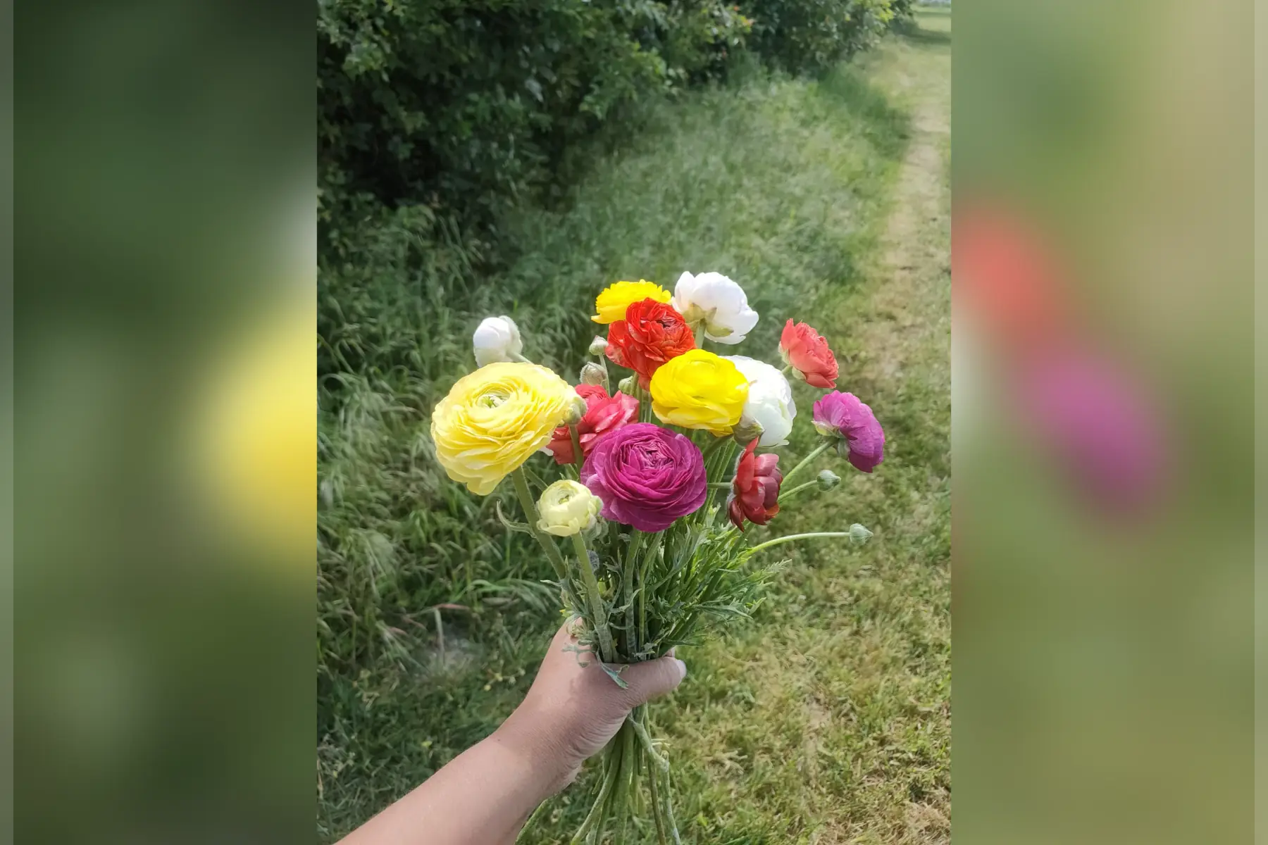 botte de fleurs