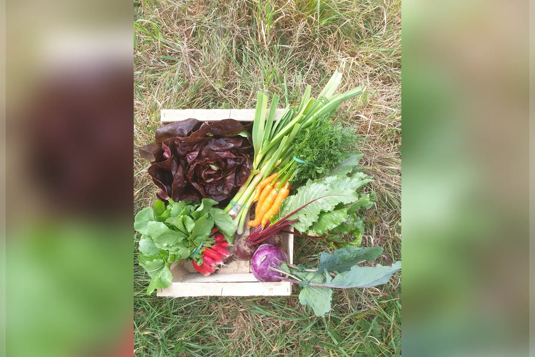 Petit panier de légumes