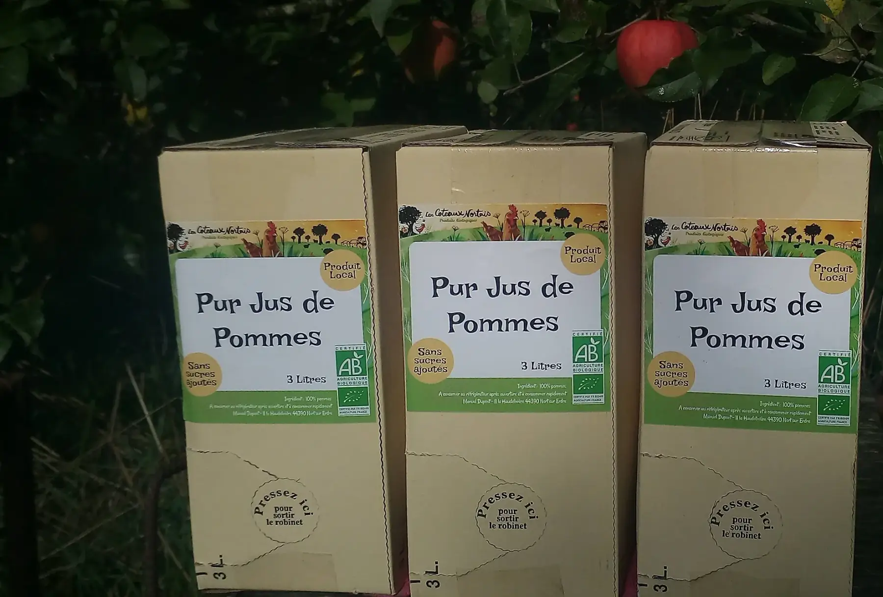 pur jus de pommes